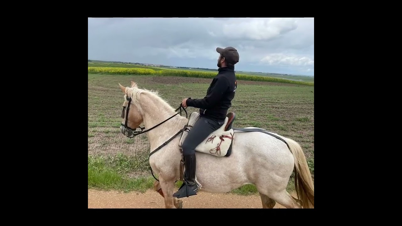 Romería Flamenca Villares de la Reina. 10/05/2025