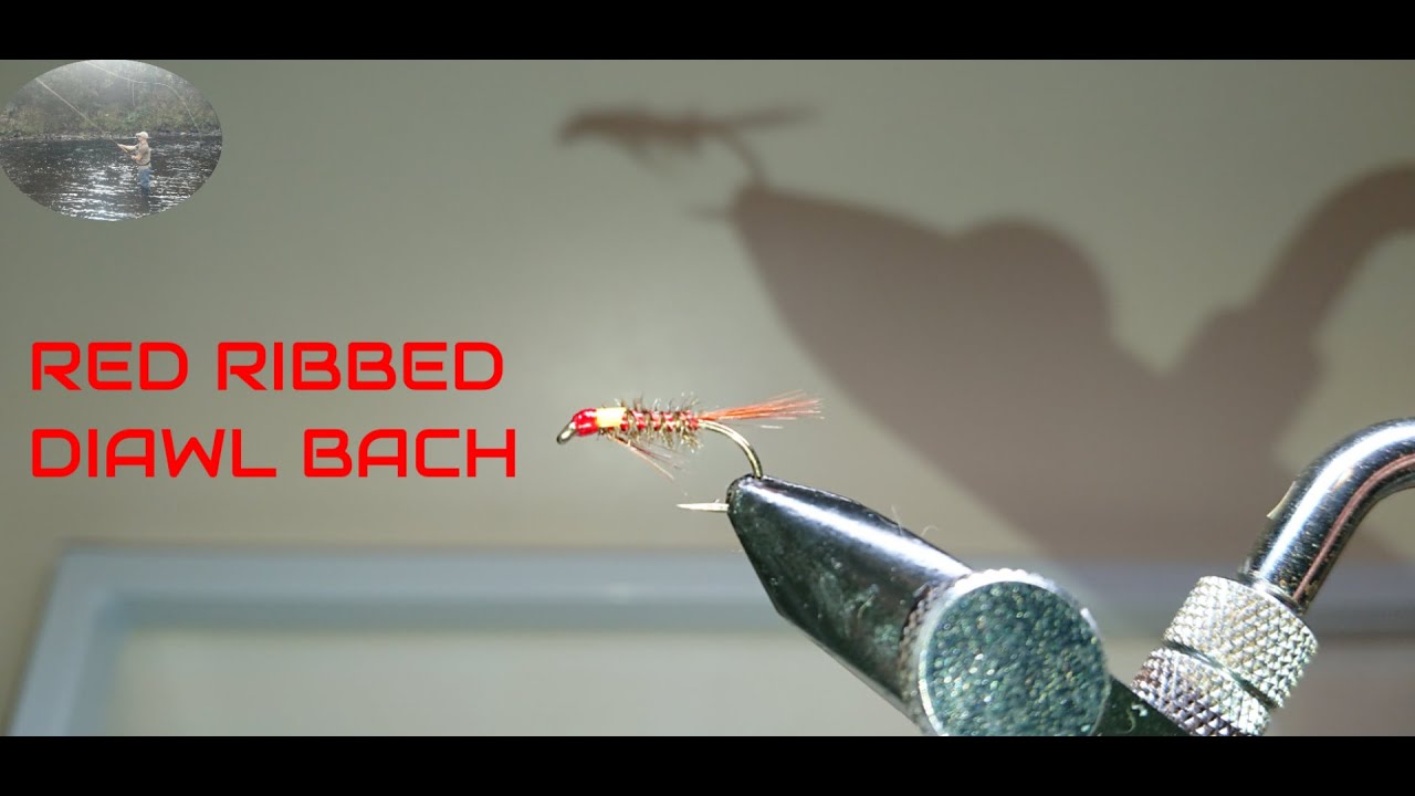 FLY TYING THE RED RIBBED DIAWL BACH (TROUT FLY)