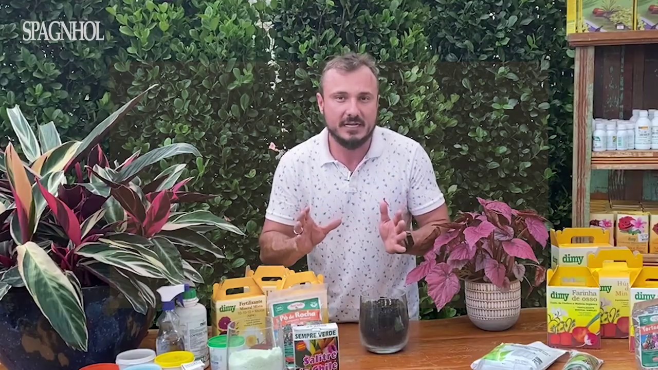 ESTERCO DE GADO E COMPOSTO ORG&Acirc;NICO | Evite essa dor de cabe&ccedil;a na hora de cuidar do seu jardim