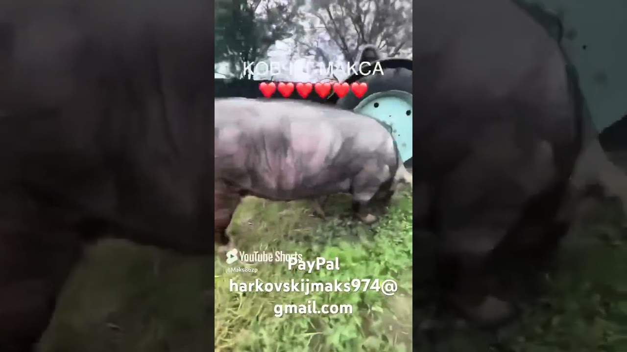 9 марта 2026 г.