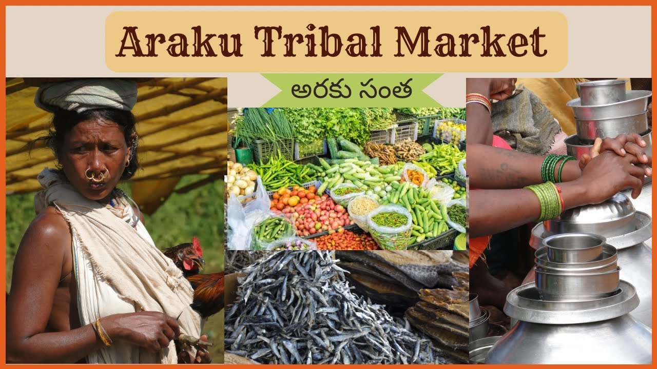 Araku Tribal Market || Famous Market In Araku Valley || Pavan The Explorer