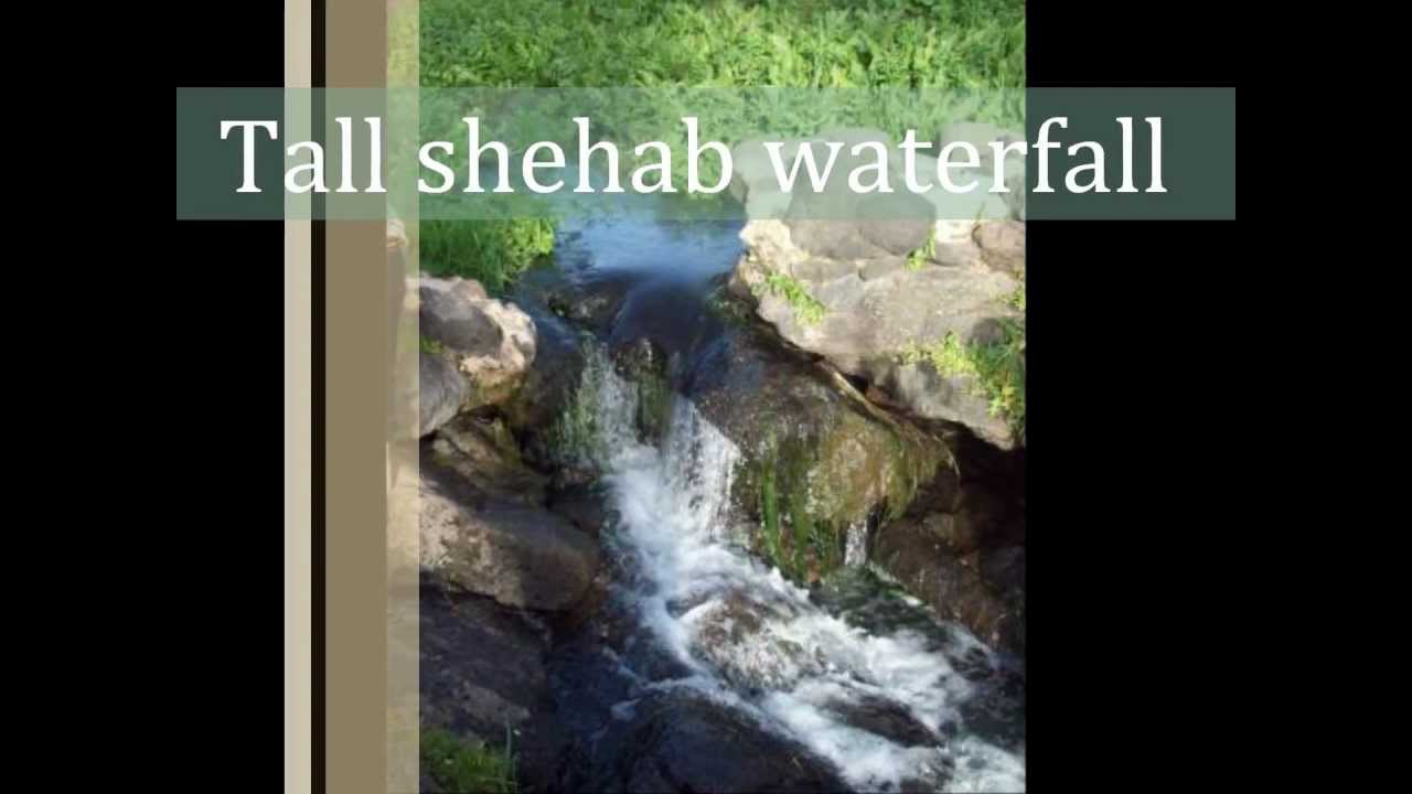 الثانوية السابعة بتبوك Our World