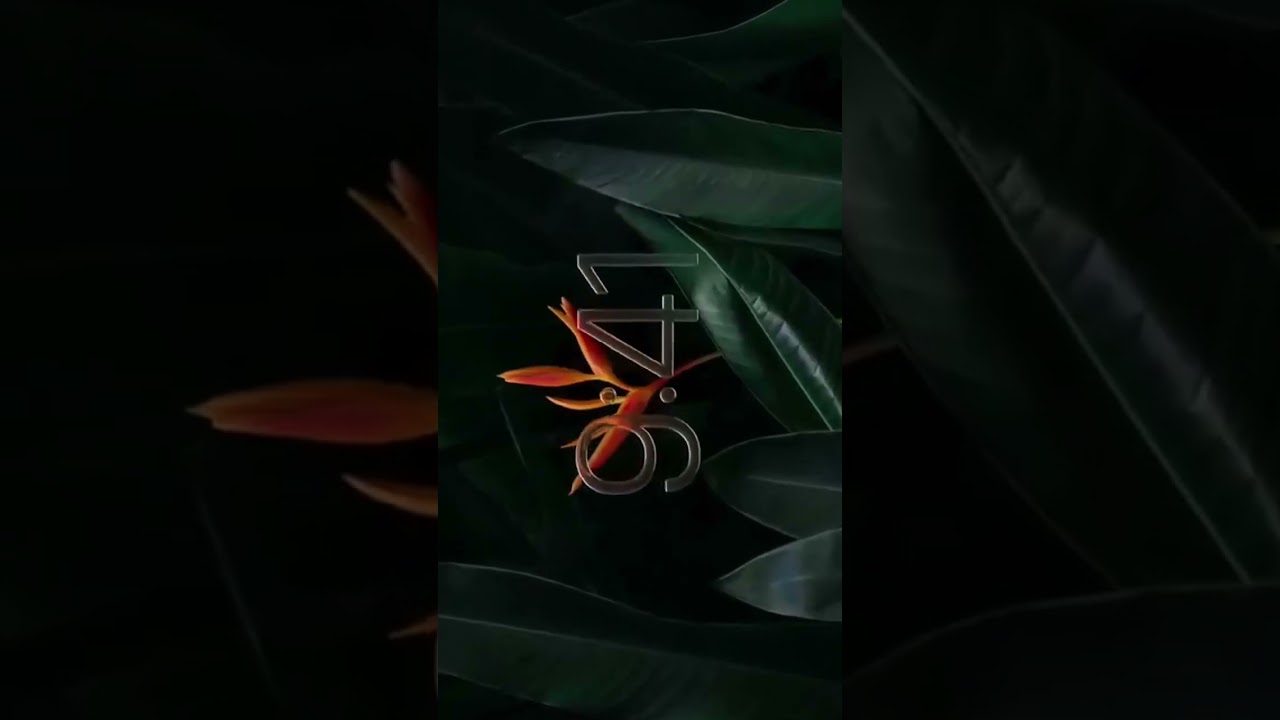 Original liquid glass not what Apple is showing us