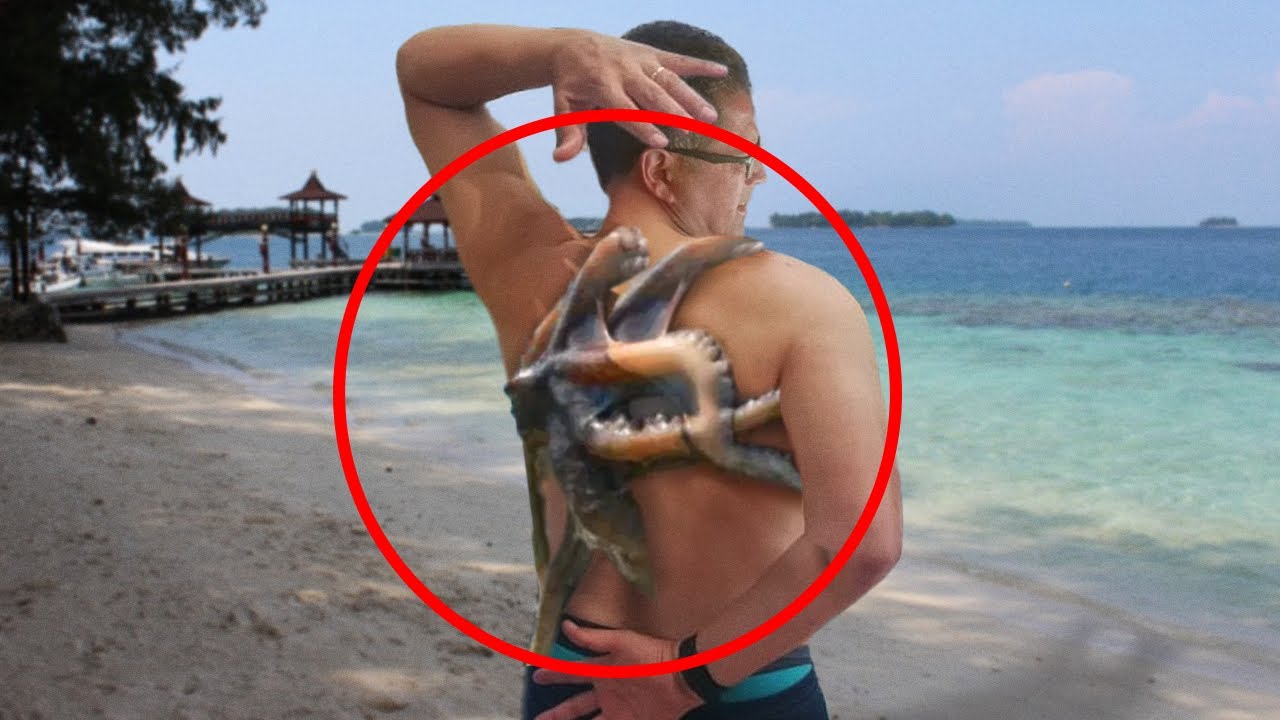 10 Most Venomous Creatures In The World!