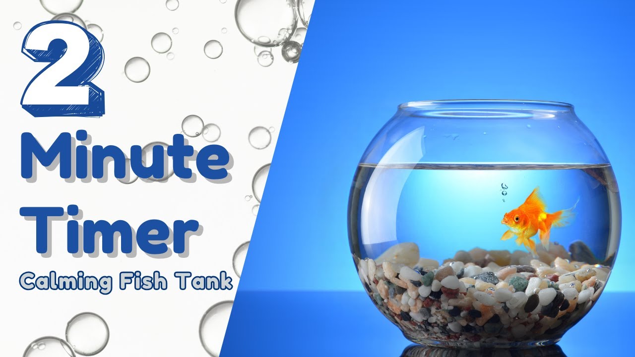 2 Minute Timer | Calming Fish Tank Timer | Countdown Timer with Alarm