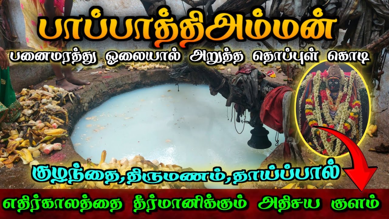 😱 பாப்பாத்தி அம்மன் கோவில் 😱 Papathiamman temple / Mystery / Travel Vijay 😱 Temple 👑 Spirituality