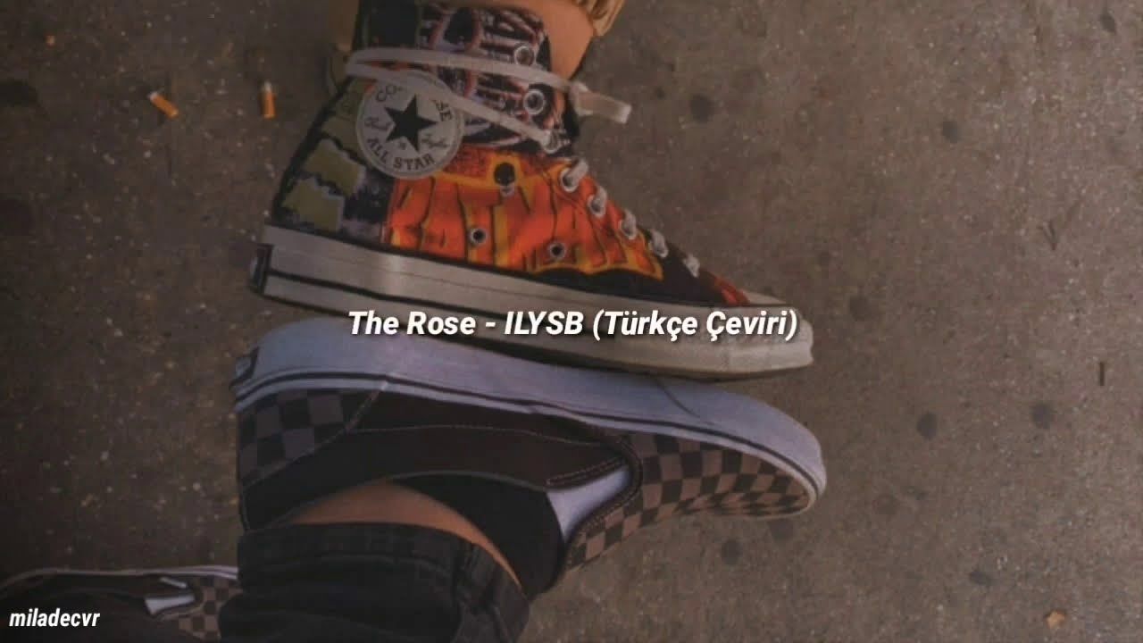 The Rose - ILYSB (Türkçe Çeviri)