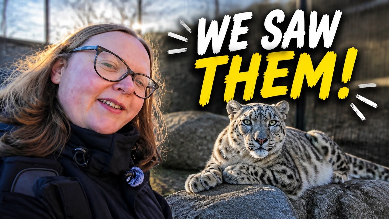 We got to see the snow leopards! | Northumberland Zoo | November 2025