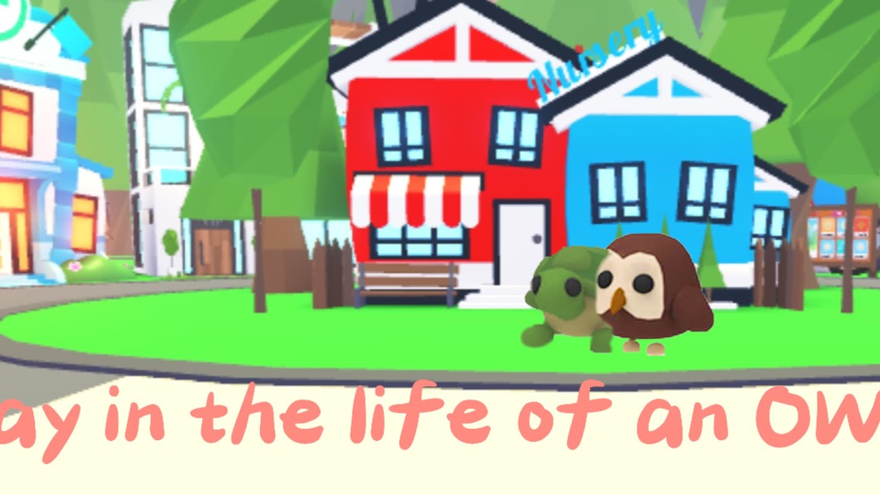 Day in the life of an OWL |Adopt Me series|