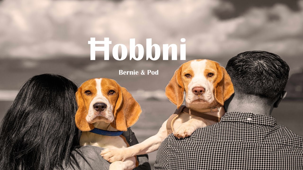 Ħobbni