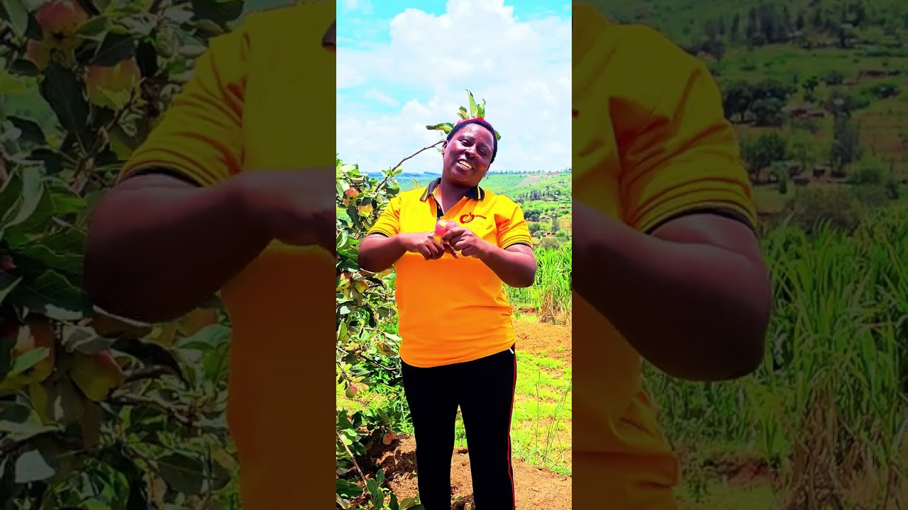 Embu County welcome to the  Agricultural Society of Kenya For more information call +254 722 284 176