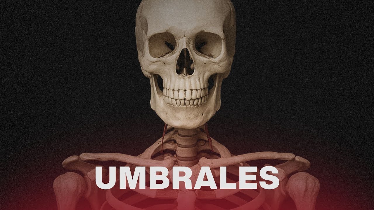 Umbrales: Cuerpos en la ciencia