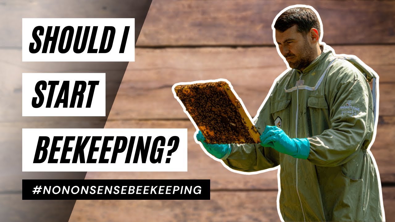 How To Start Beekeeping &ndash; Everything You Need Before Getting Your First Bees