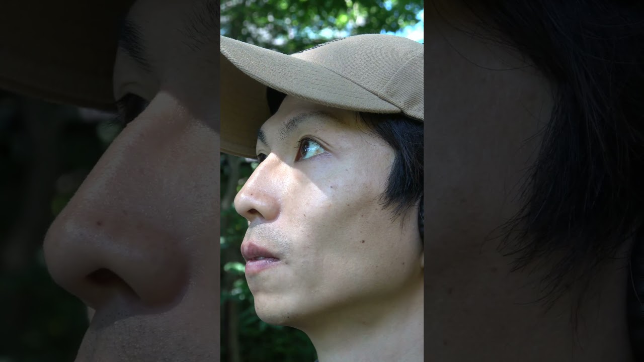 木の中の音 