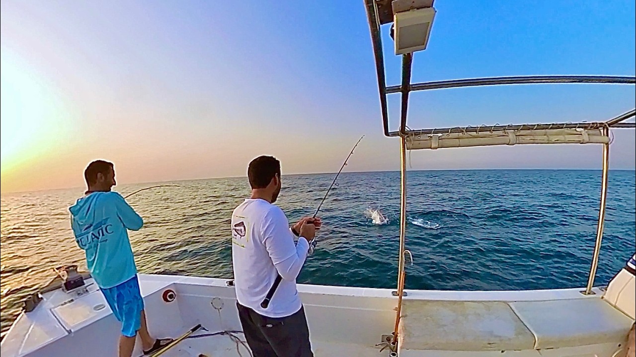 طلعتين صيد لفاح و تشخيط