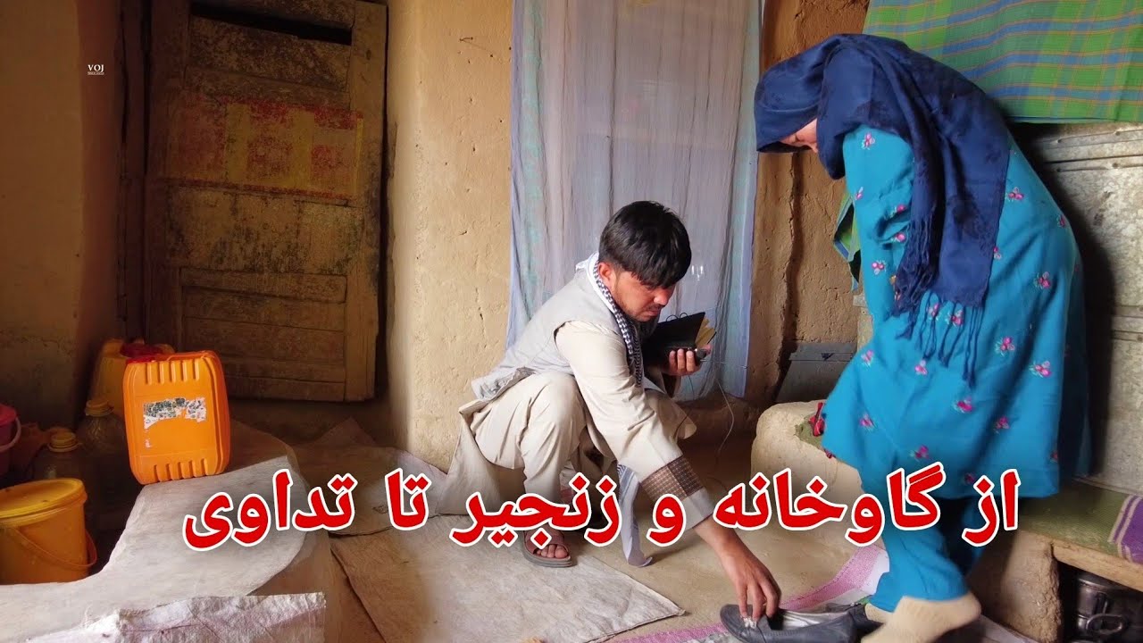 دختر که در گاوخانه با زنجیر بسته بود برای تداوی راهی کابل شد