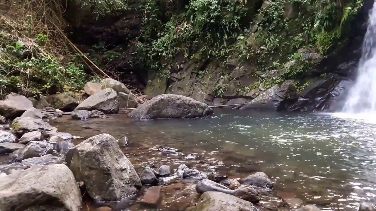 Cascade Didier Martinique