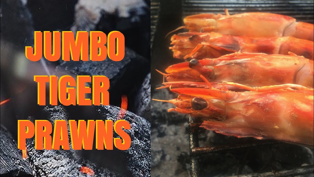 Jumbo Tiger Prawns - on the grill