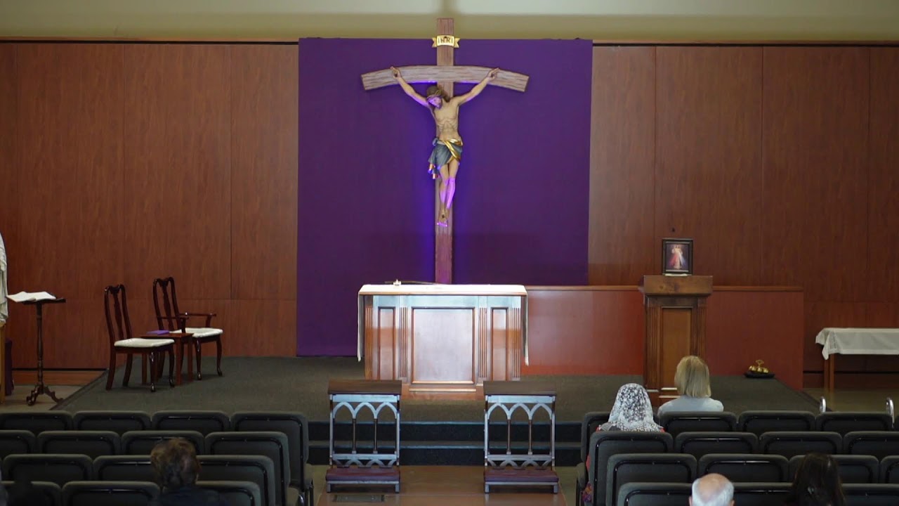 STM Livestream: 8AM Wednesday Mass