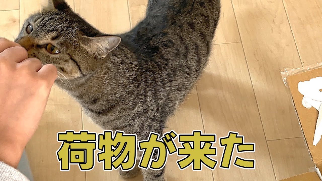 ~からのお届け物