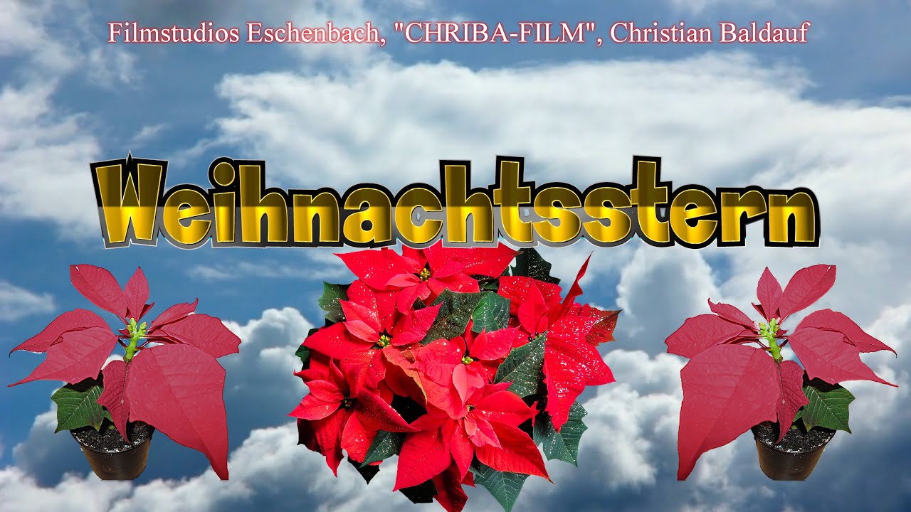 CHRIBA 0815 