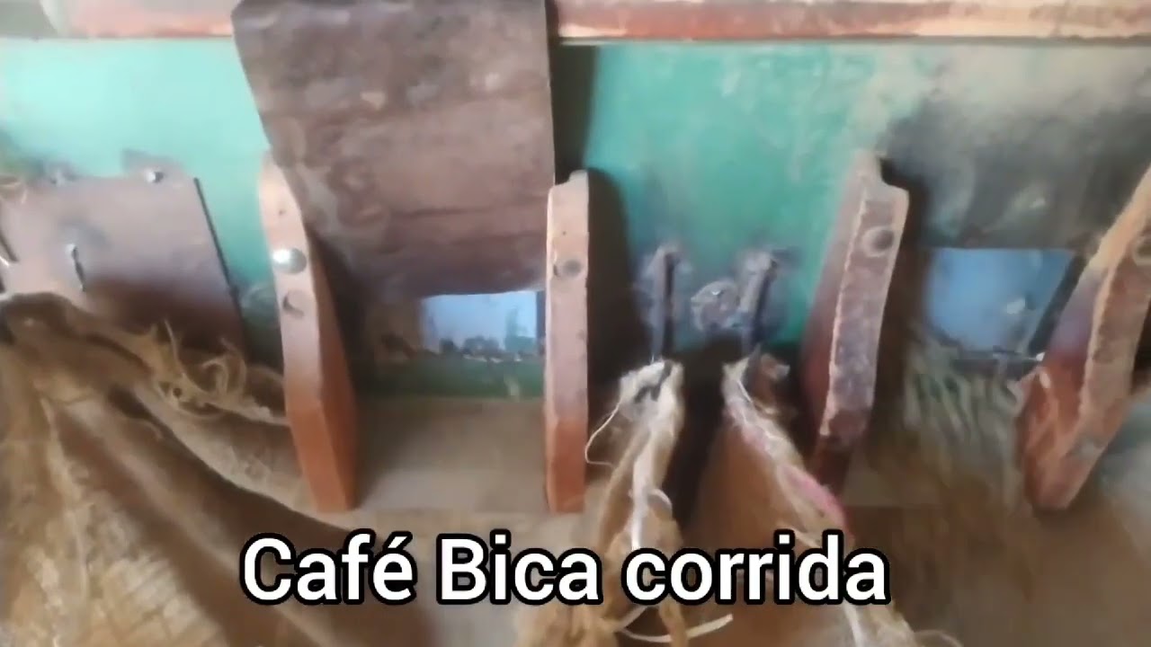 Caf&eacute; Bica corrida, voc&ecirc; sabe o que &eacute;?