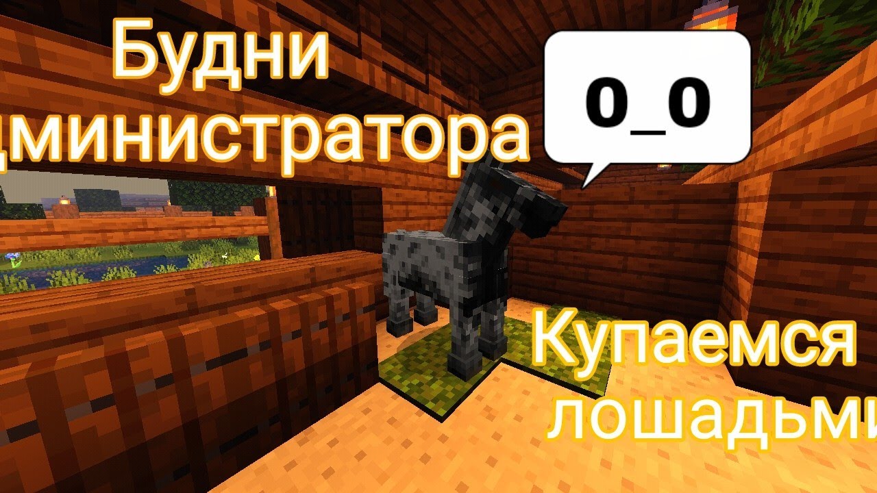 Купаемся с лошадьми|| будни Администратора|| кск в Майнкрафт