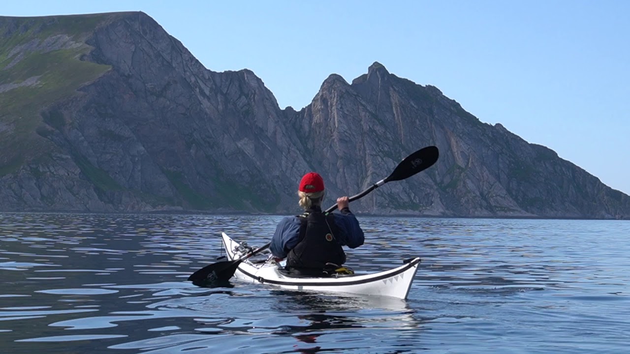 Guided daytrips on Sørøya, northern Norway