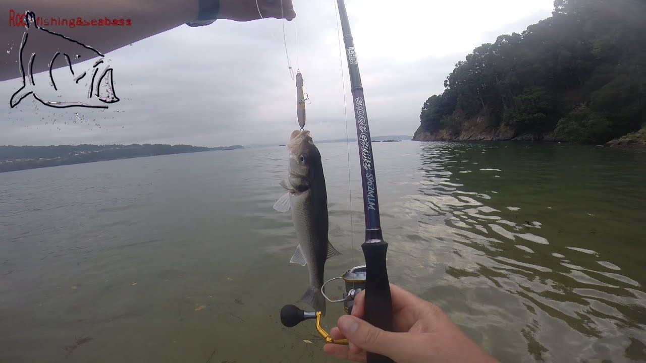 Pescando lubinas a paseante