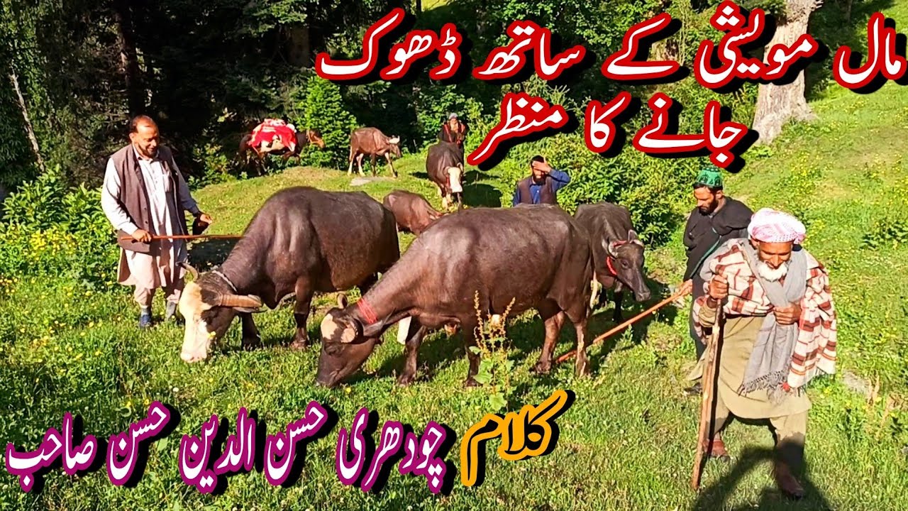 Kalam  CH.HASSAN DIN HASSAN Sab || Awaz  AYAZ AHMED SAIF & MUZAMIL SHAH