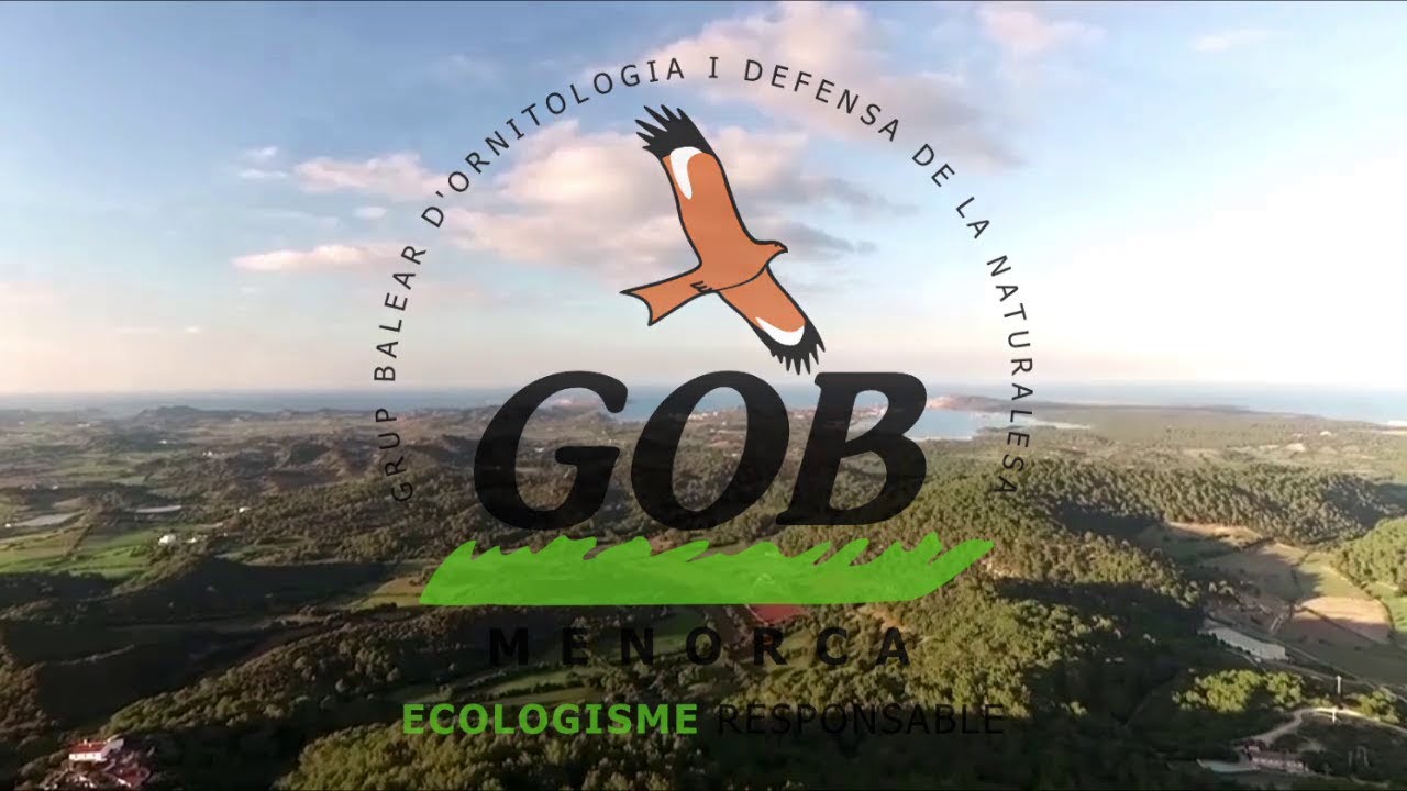 El voluntariat del GOB