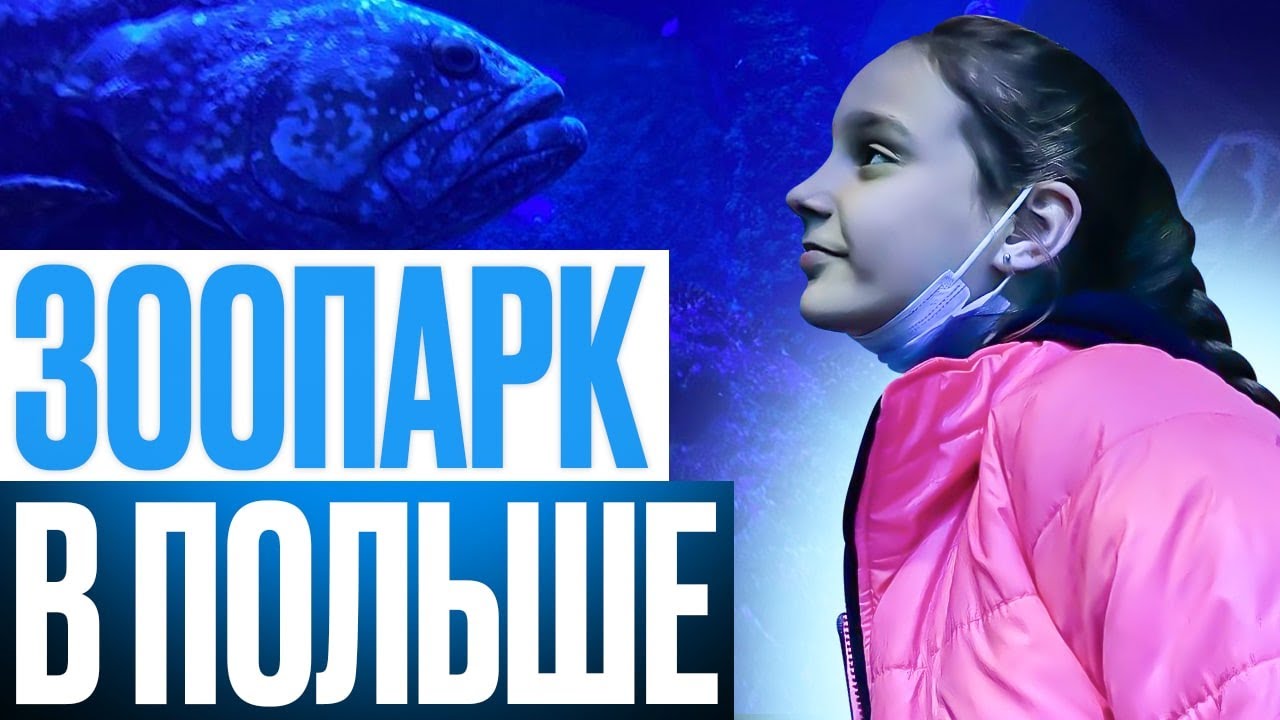 мы в зоопарке в Польше/влог Zlata Energy