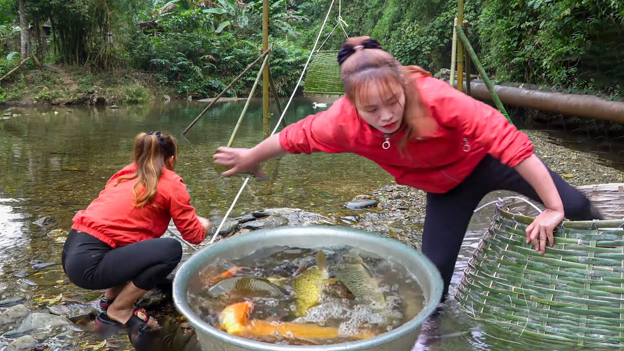 A Day of Simple Farm Life | Bamboo Fish Traps, Big Fish Harvest & Quiet Rural Work