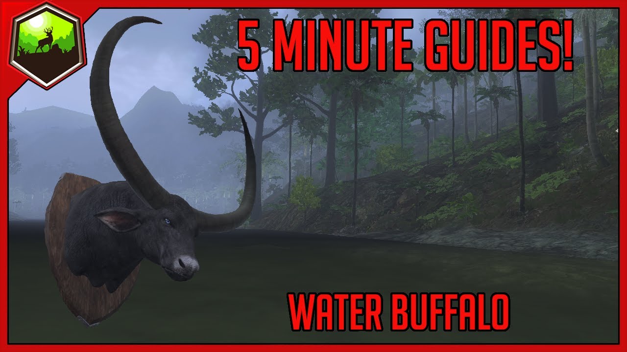 5 Minute Guides | Water Buffalo | theHunter Classic