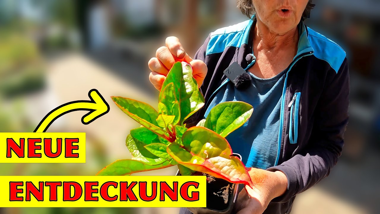 Weg vom Standard: SO geht Selbstversorgung | Gärtnerei mit Hofladen | Rigottis altes Zuhause 😲