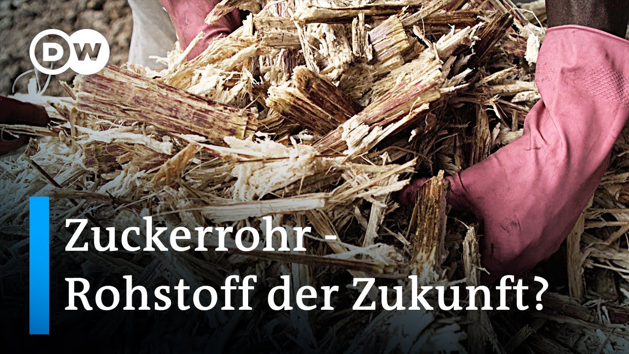 Abfall als Ressource: Nachhaltiges Zuckerrohr in Ghana | Global Ideas