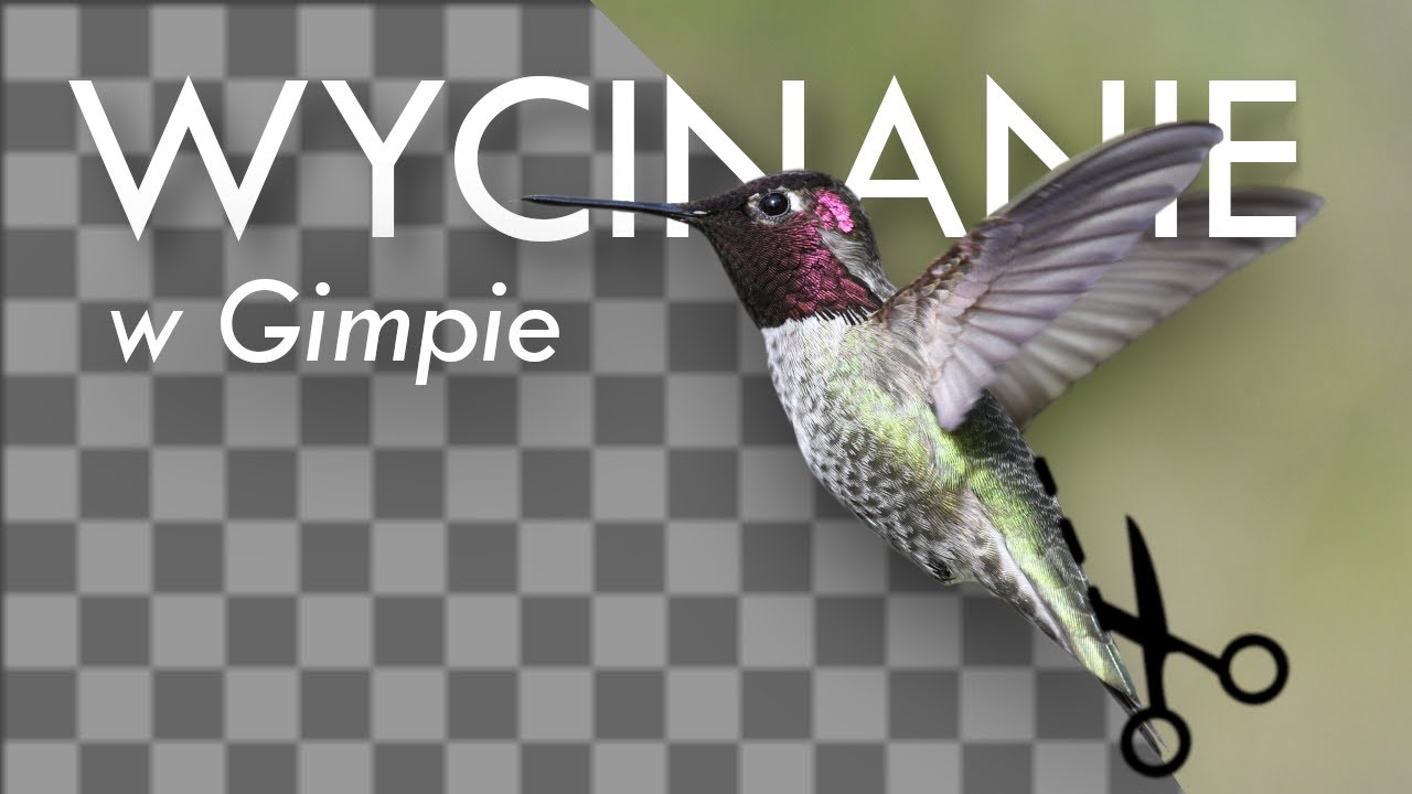 Jak wyciąć tło ze zdjęcia? | Gimp Poradnik