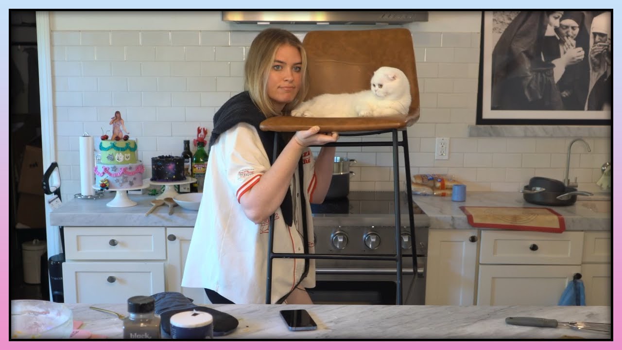 CHOCOLATE CHIP COOKIE BAKE A LONG