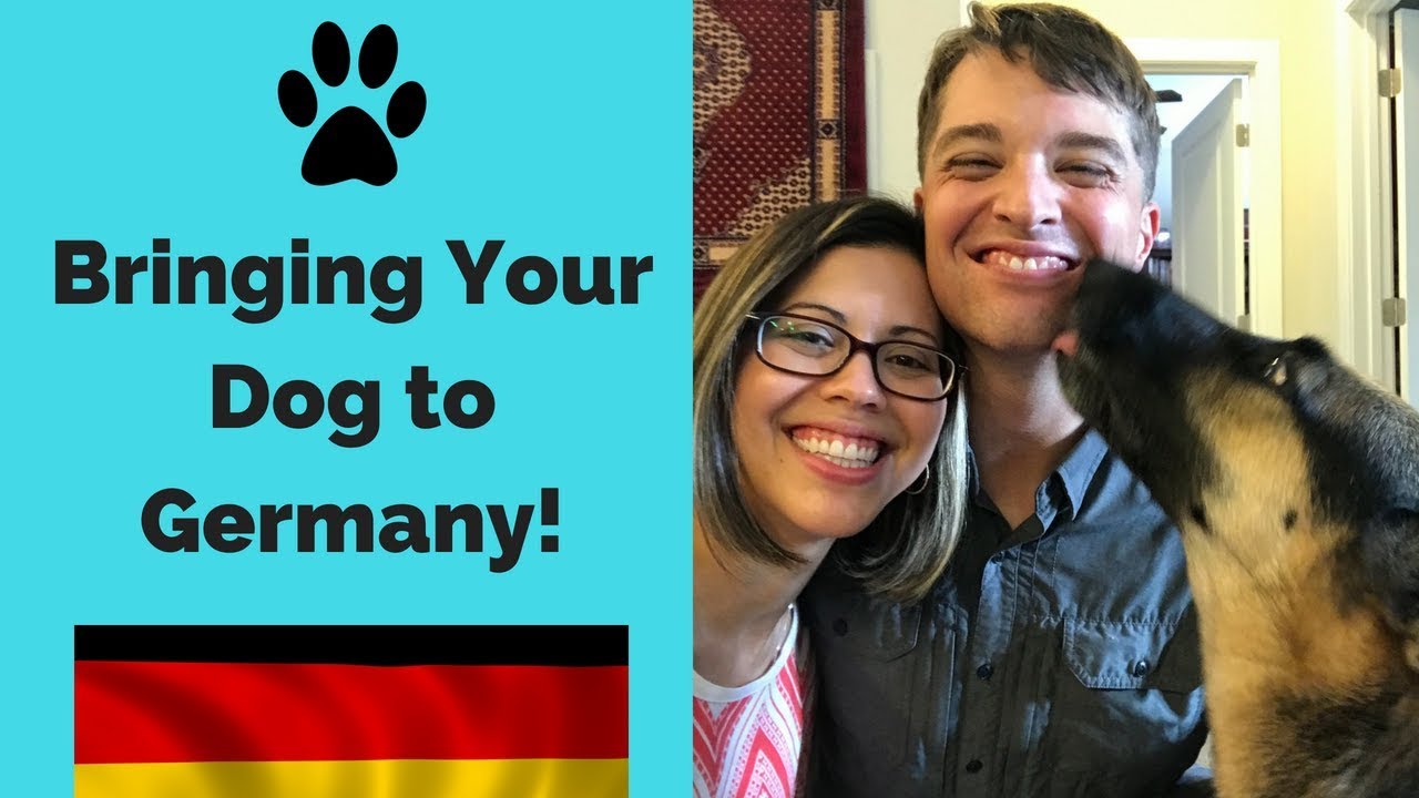 BRINGING YOUR DOG TO GERMANY // PCS overseas with the military
