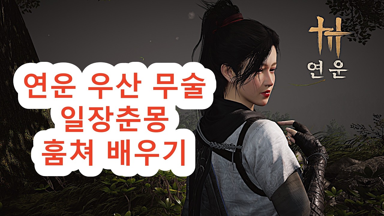 연운 우산 무술 일장춘몽 훔쳐 배우기