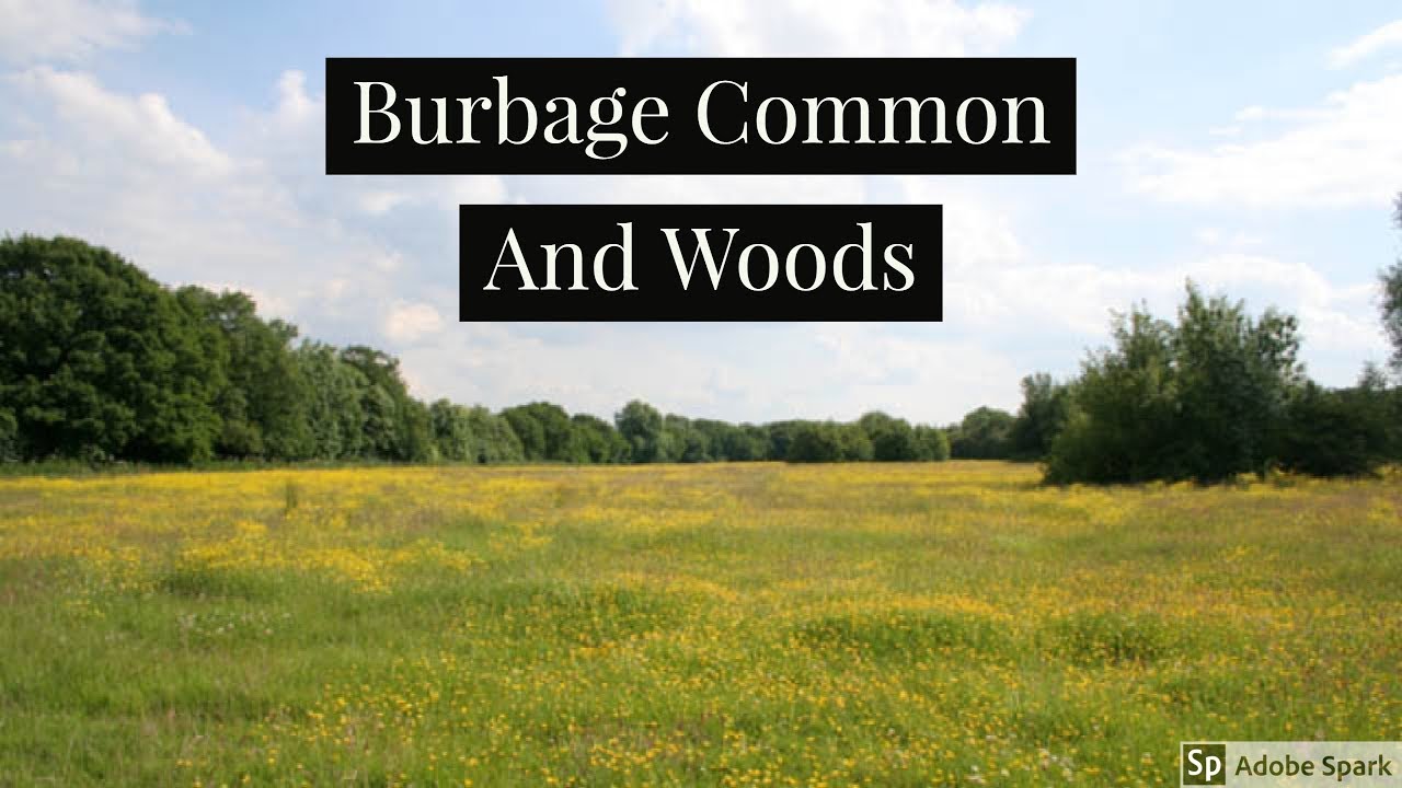 Travel Guide My Day Trip To Burbage Common And Woods Leicestershire UK Pros And Cons Review