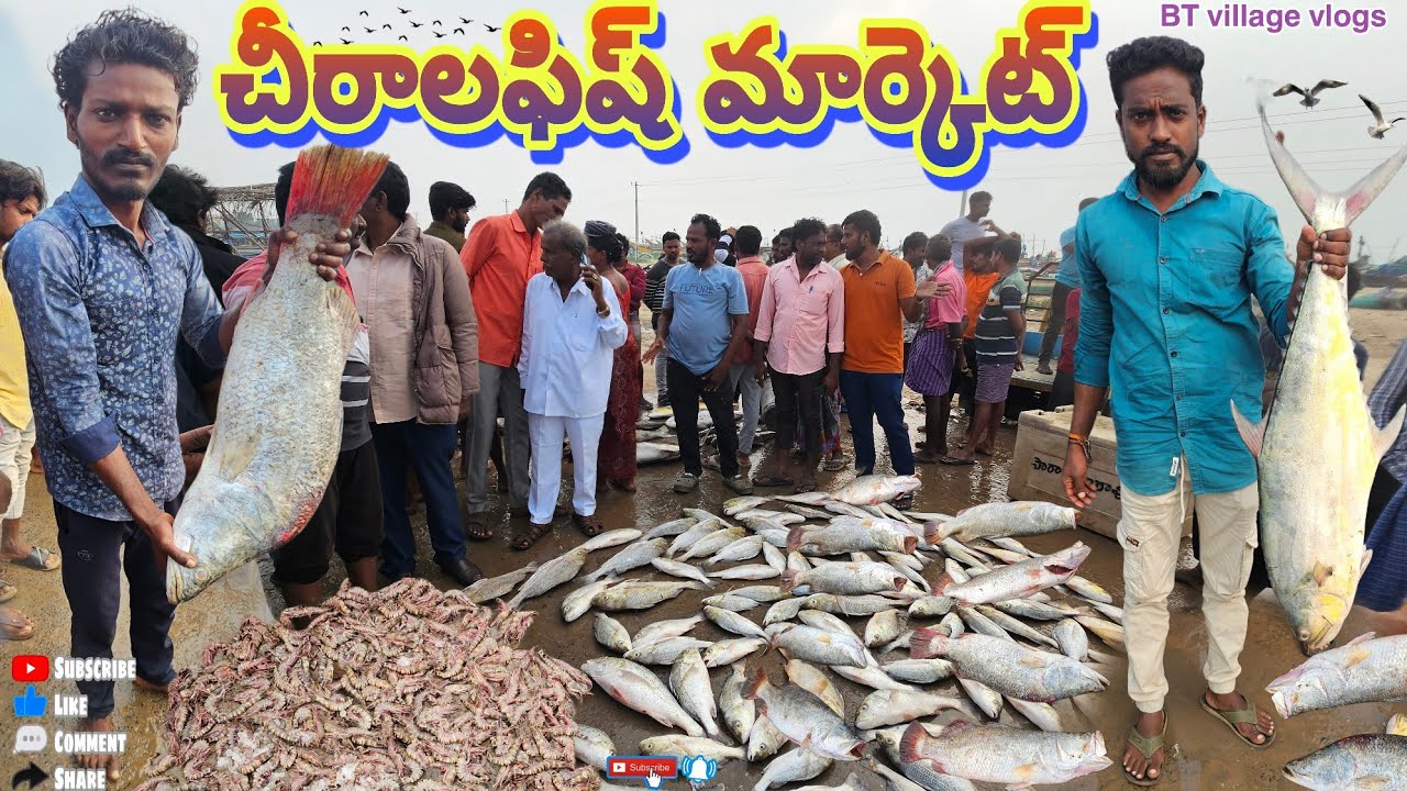 చీరాల fishmarket 