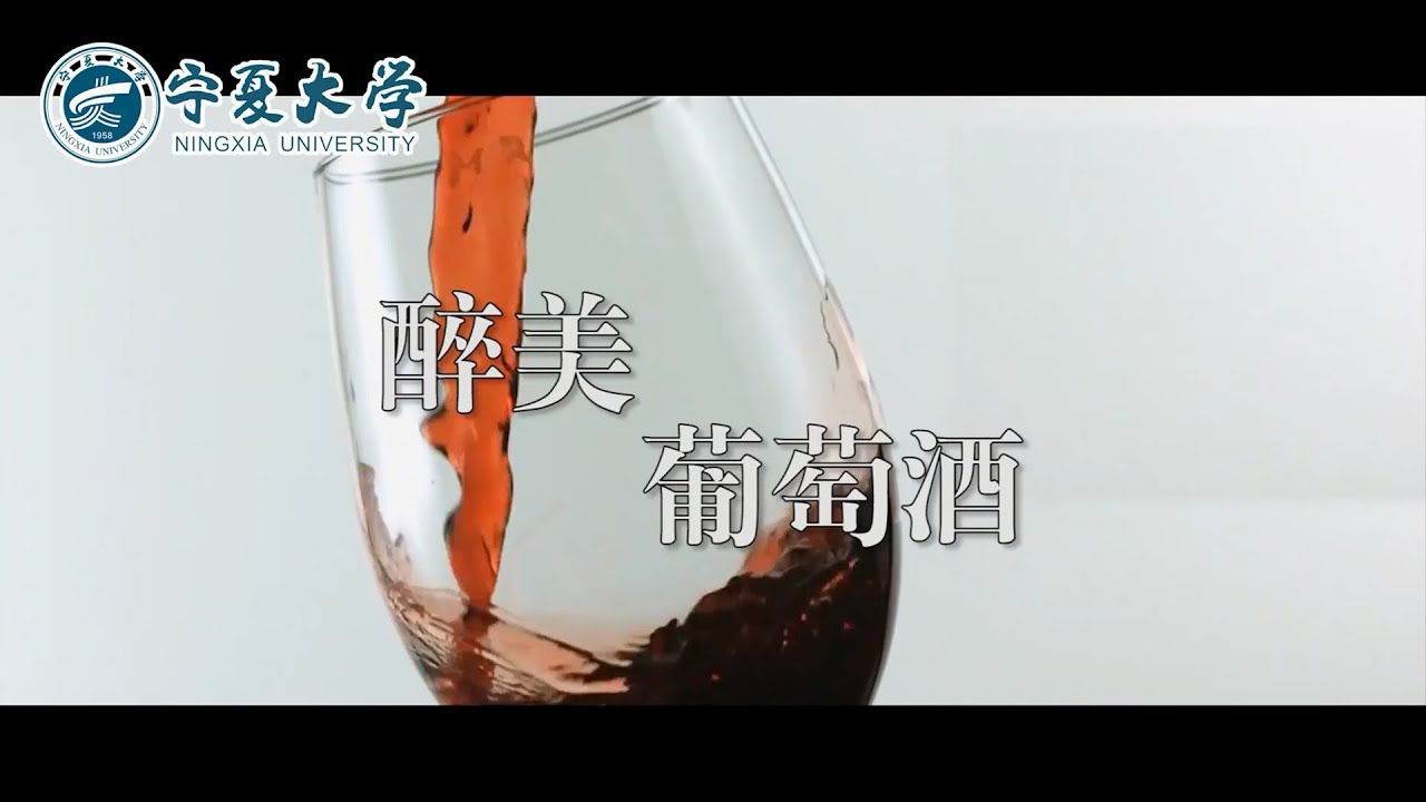 05 Why 为什么&ldquo;我们&rdquo;不一样？&mdash;&mdash;葡萄园风土