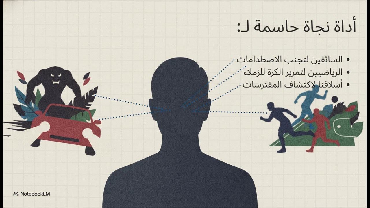 الرؤية ليست ما تراه ، بل كيف تراه vision level 4