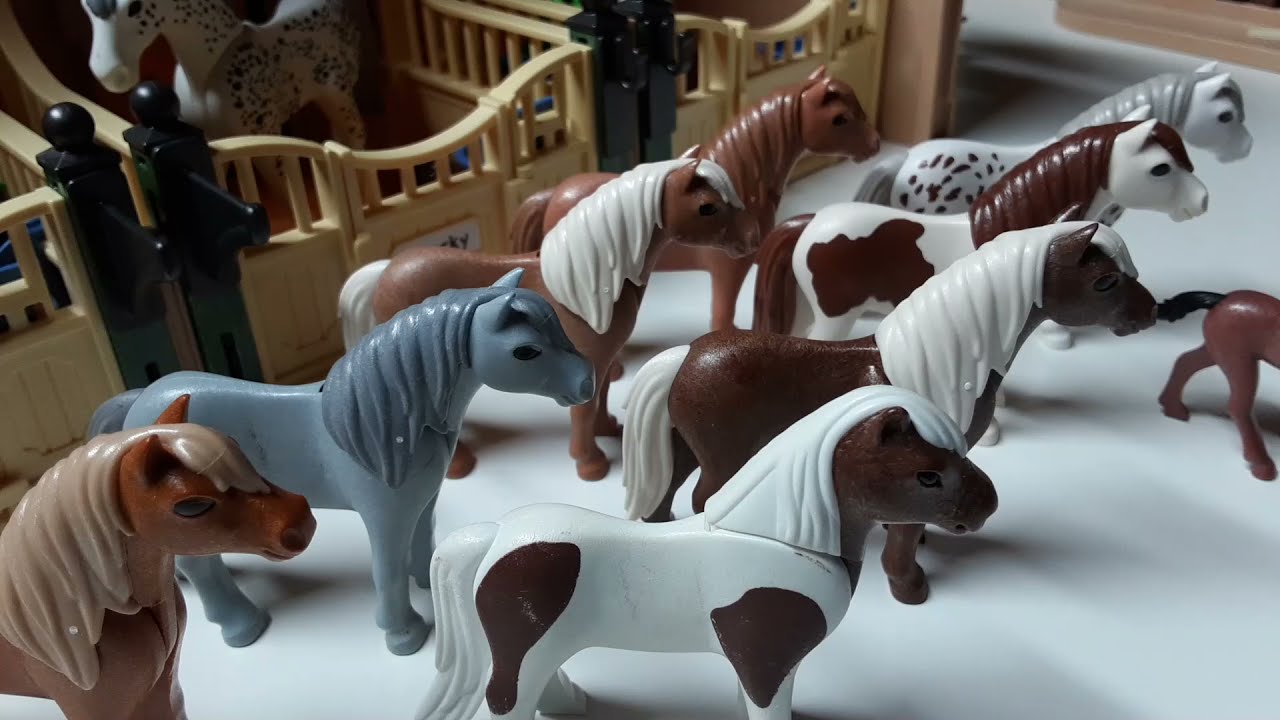 Ich zeige euch meine Pferde 🐴 / Playmobil Reiterhof Youtube Videos