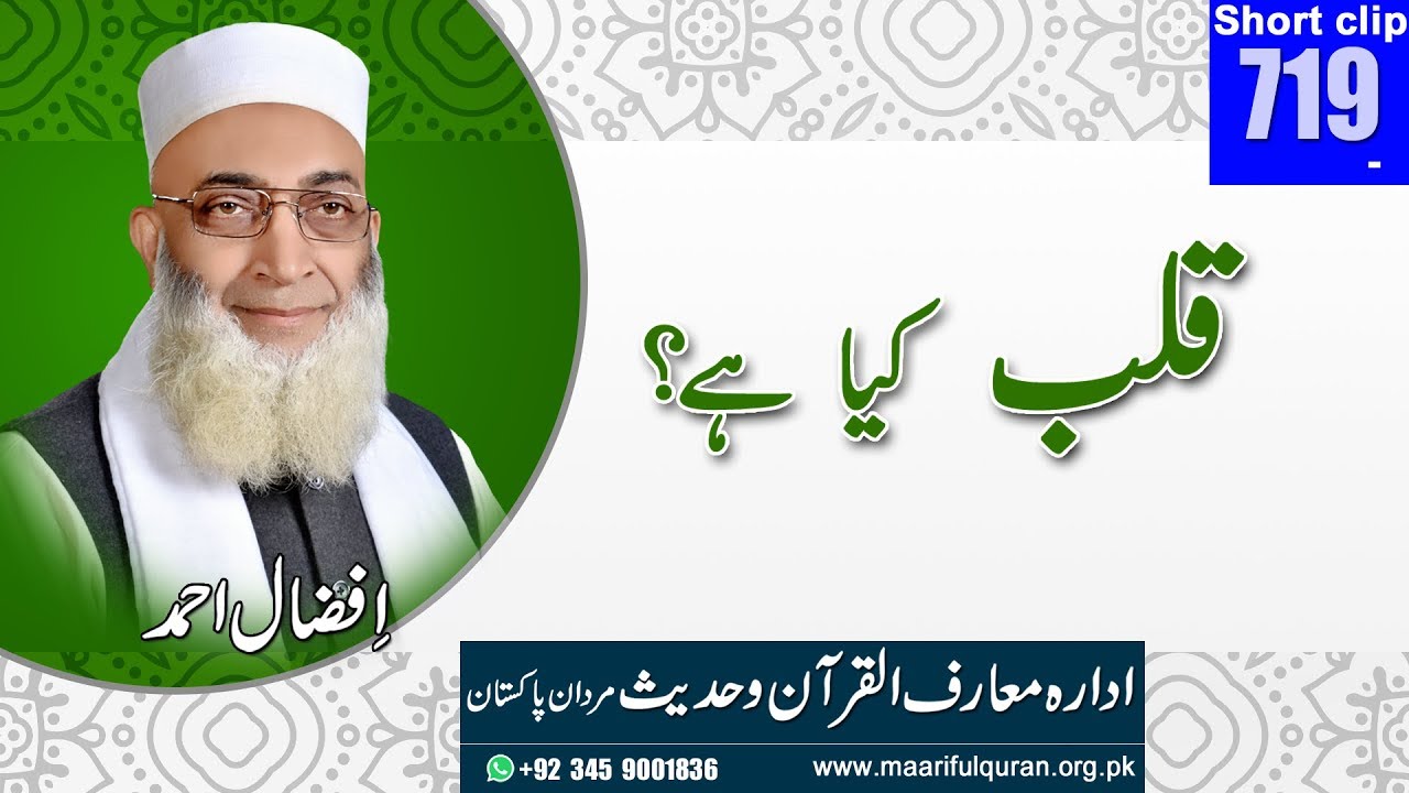 Qalb Kya Hay?قلب کیا ہے؟