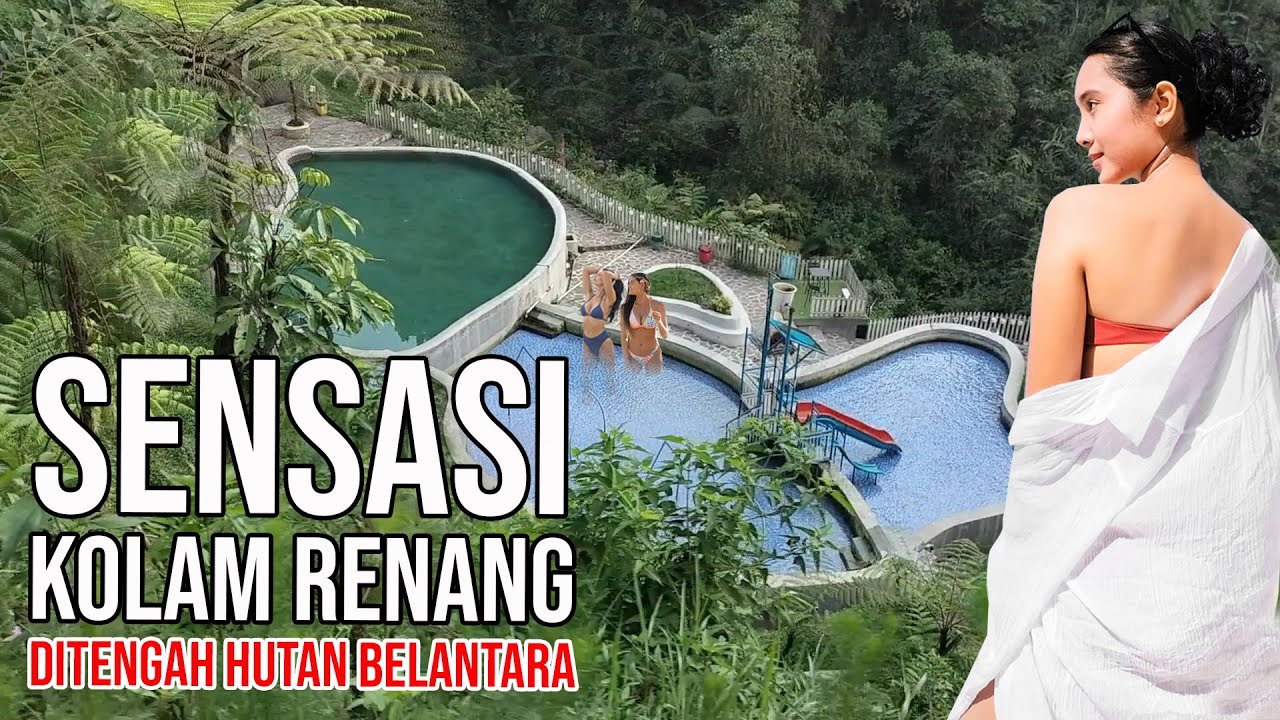 Surga Tersembunyi: Kolam Renang di Hutan yang Wajib Kamu Kunjungi!