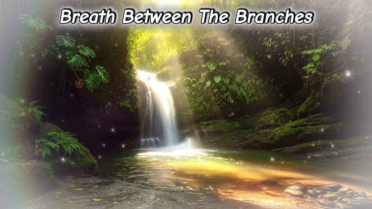 [Healing Music] Breath Between The Branches | 영혼을 적시는 몽환적인 켈틱 보컬 | 마음을 치유하는 깊은 휴식 #힐링음악 #휴식 #명상음악