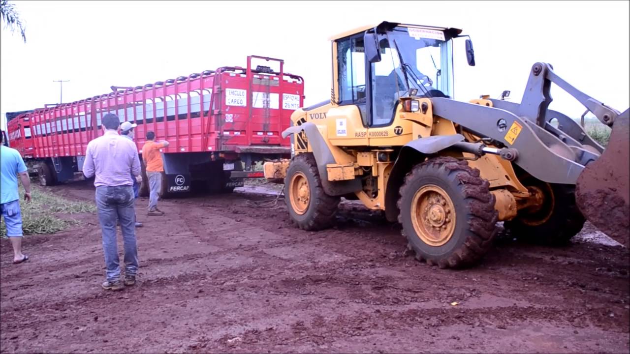 Vacas Voladoras de Paraguay a Ecuador- Viceministerio de GANADERIA