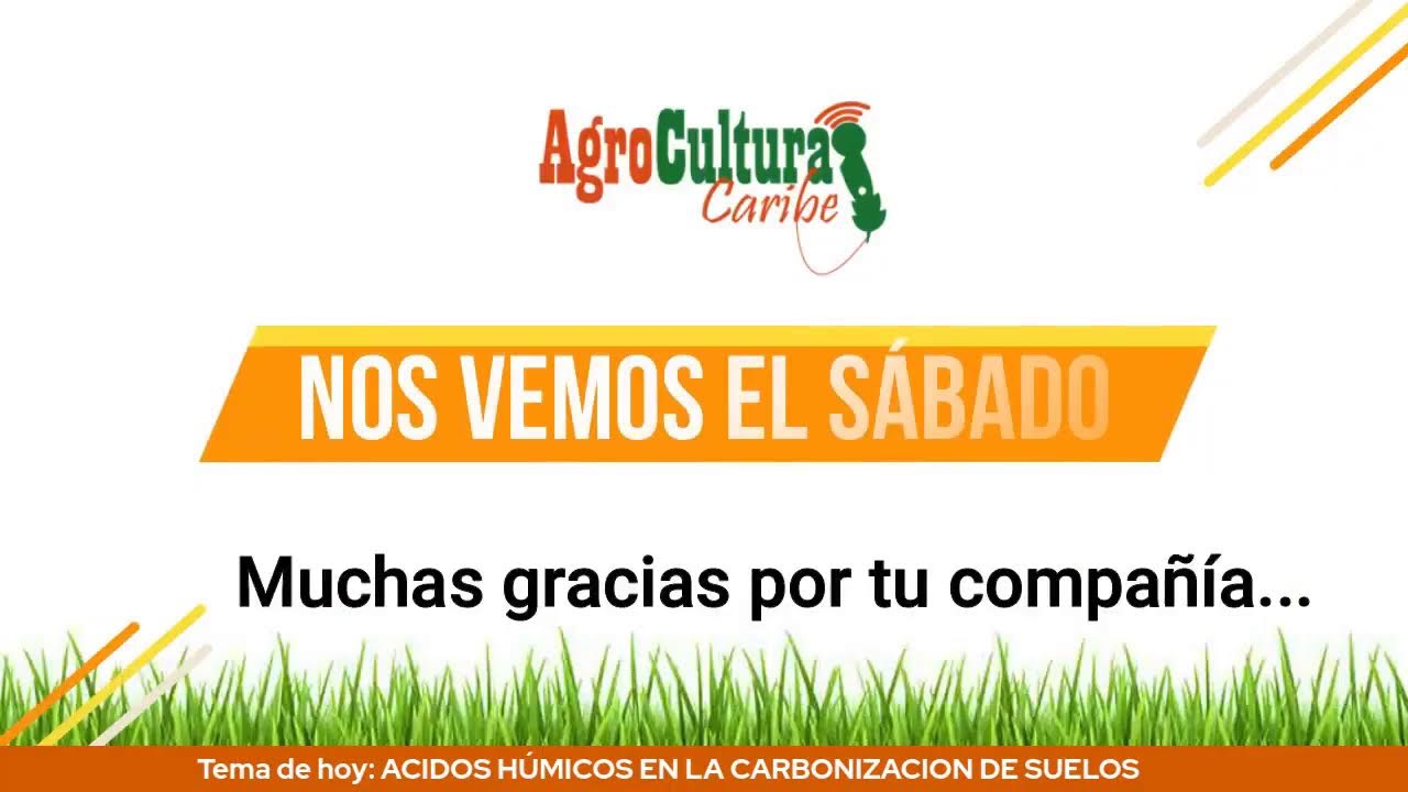 ACIDOS HÚMICOS EN LA CARBONIZACION DE SUELOS